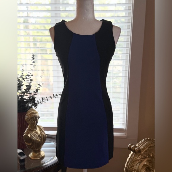 Dresses & Skirts - Sleek Sleeveless Colorblock Sheath Dress in Navy and Black